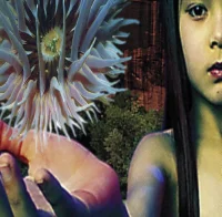 Lifeforms