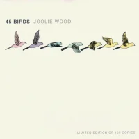 45 Birds
