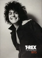 1973 (Whatever Happened To The Teenage Dream?)