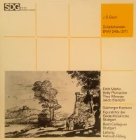 Schäferkantate BWV 249a (217)