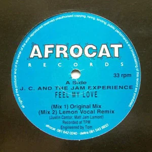 Feel My Love