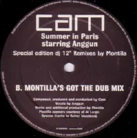 Summer In Paris (Special Edition DJ 12" Remixes By Montilla)