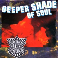 Deeper Shade Of Soul