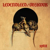 Split