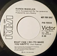 What Can I Do (To Make You Happy)