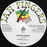 Captive Birds / Nuclear Race