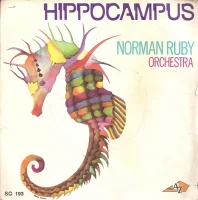 Hippocampus / Happy End