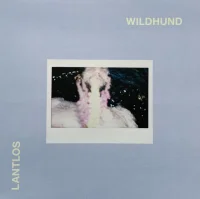 Wildhund