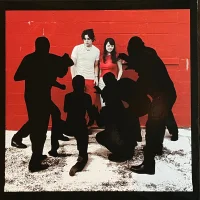 White Blood Cells