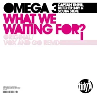 What We Waiting For?