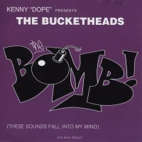 The Bomb! (These Sounds Fall Into My Mind)