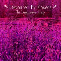 The Luminescent EP
