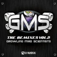 The Remixes Vol 2