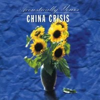 Acoustically Yours