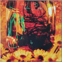 Dye