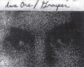 Inca Ore / Grouper