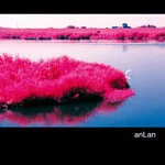 OrganLanguage EP2