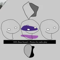 /An​/​Aesthetic Veil
