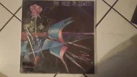 Rose Of Soweto - Dingaan Thobela