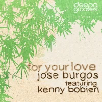 For Your Love (Jay-J Shifted Up Mixes)