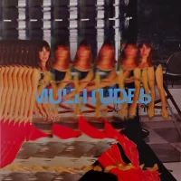 Multitudes