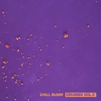 Crumbs Vol.2