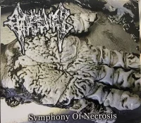 Symphony Of Necrosis