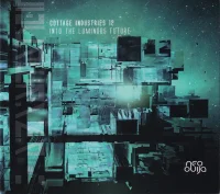 Cottage Industries 12 Into The Luminous Future