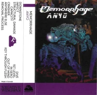 Anyo