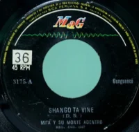 Shango Ta Vine