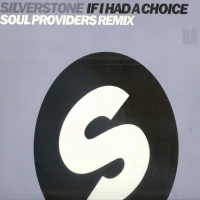 If I Had A Choice (Soul Providers Remixes)