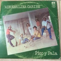 Pico Y Pala