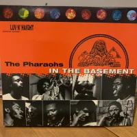 In The Basement