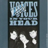 Voices In Your Head