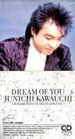 Dream Of You