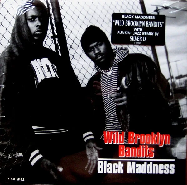 Wild Brooklyn Bandits