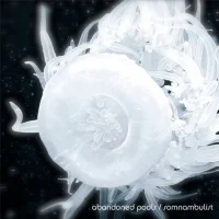 Somnambulist
