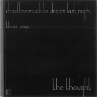 I Had Too Much To Dream Last Night / These Days