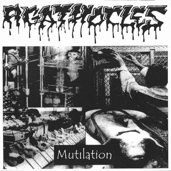 Mutilation / We Hate Hungarian Scene