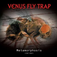 Metamorphosis 1987 - 2007