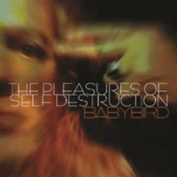 The Pleasures Of Self Destruction
