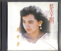 夢中夢
