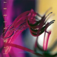 Beguiled