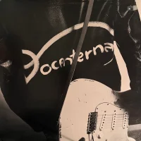 Docenterna