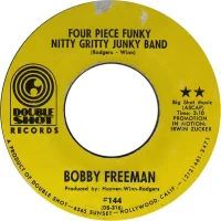 Four Piece Funky Nitty Gritty Junky Band