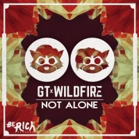 Not Alone