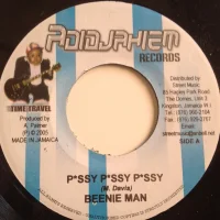 P*ssy P*ssy  P*ssy