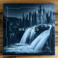 Haavard