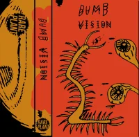 Dumb Vision