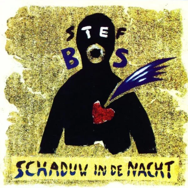 Schaduw In De Nacht